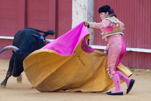 Traditional Spanish Bullfighter in Pink and Yellow Engages Bull in Arena - Download Free Stock Images Pikwizard.com