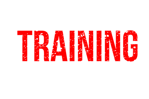 bold red training text on transparent background - Download Free Stock Videos Pikwizard.com