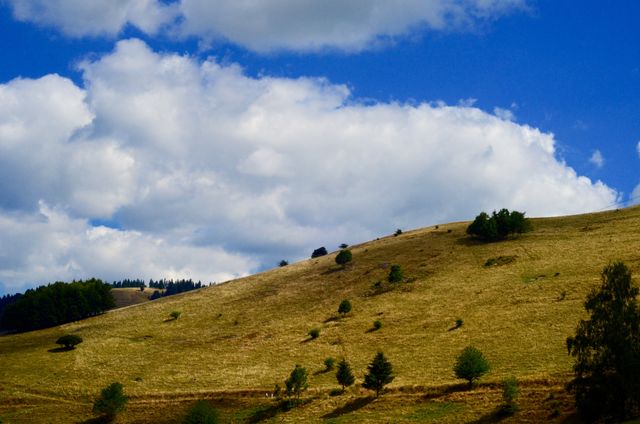 This image depicts vast rolling hills under a bright blue sky dotted with white clouds. It is ideal for use in articles or websites promoting travel, outdoor activities, hiking, countryside retreats, or nature conservation. It can also serve as a calming background in presentations or as a decorative addition to home and office spaces.