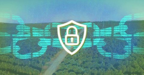 Digital Security Shield Superimposed on Forest Landscape