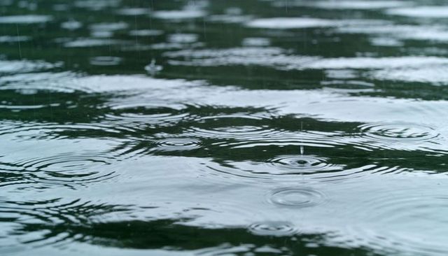 Rain ripples creating concentric circles reflecting green foliage on calm water surface