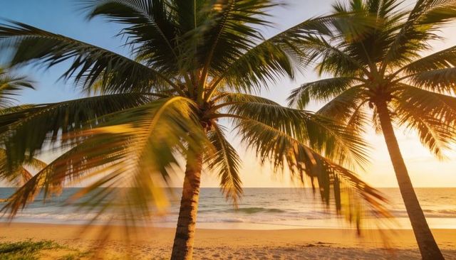 Sunset palm trees swaying over tropical beach casting golden rays on sand for travel ads