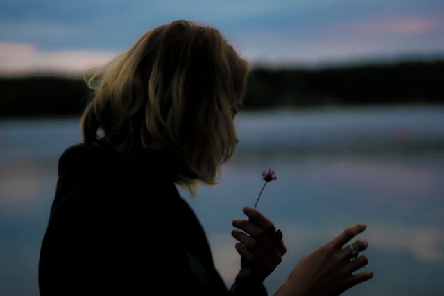 Silhouette of Person Holding Wildflower Near Serene Lake at Sunset - Download Free Stock Photos Pikwizard.com