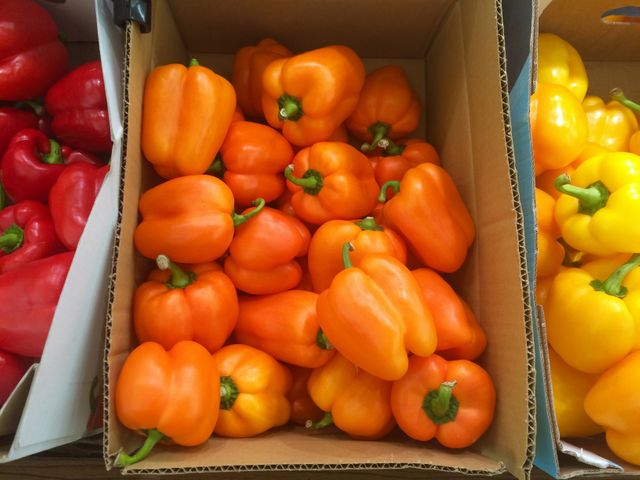 Fresh orange bell peppers neatly stored in cardboard boxes, ready for purchase at a local market. This vibrant display of healthy produce is perfect for use in articles or advertisements relating to fresh food, markets, healthy eating, vegetarian recipes, or grocery shopping.