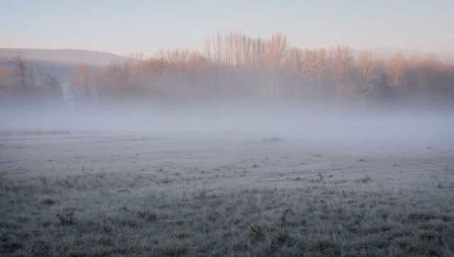Morning mist drifting over frost-covered meadow at woodland edge with glowing trees at dawn