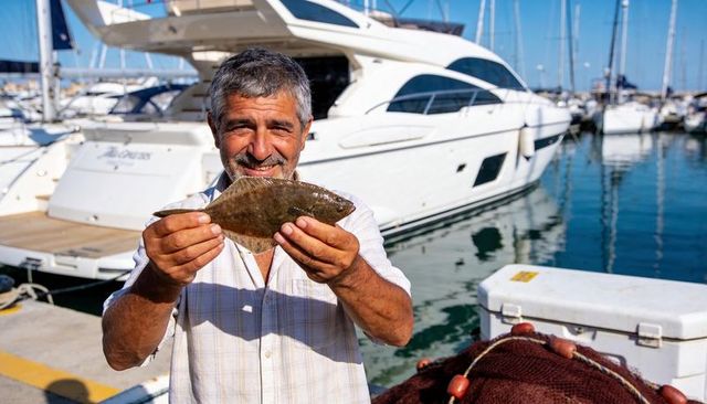 Senior fisherman holding fresh flounder on sunny marina dock with luxury yacht backdrop