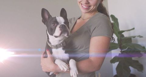 Woman cradling boston terrier in bright home interior with lens flare
