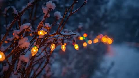 Twilight panning video revealing snow-covered branches with glowing bulbs and falling snow