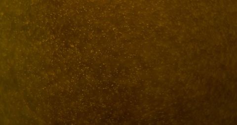 close-up of beer bubbles in glass, textured abstract background - Download Free Stock Images Pikwizard.com