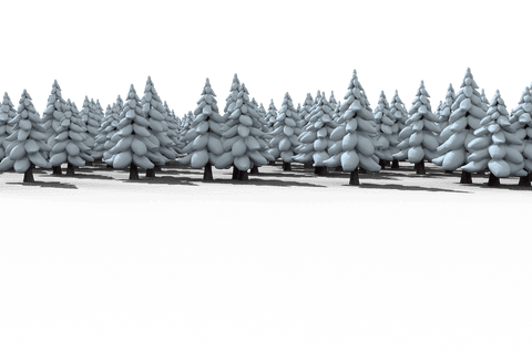 transparent pine trees with snow winter wonderland - Download Free Stock Videos Pikwizard.com