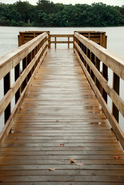 Ideal for themes of relaxation, serenity, and nature, this image of a wet wooden pier extending over a calm lake evokes a peaceful and reflective mood. Suitable for websites, blogs, or promotional material related to travel, outdoor activities, or mindfulness retreats.