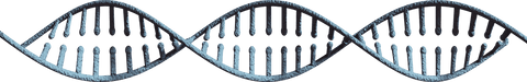 Transparent 3D DNA Strand Structure for Scientific Exploration - Download Free Stock Videos Pikwizard.com