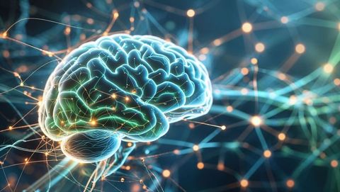 3d brain model with neural network glowing connections