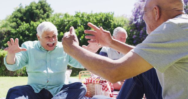 Senior Friends Laughing and Enjoying Picnic Together in Bright Sunny Park - Download Free Stock Images Pikwizard.com