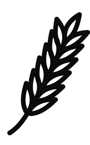 cereal wheat symbol vector on transparent background - Download Free Stock Videos Pikwizard.com