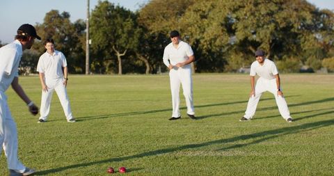 Cricket team practicing fielding on sunlit grassy outfield wearing white uniforms and caps