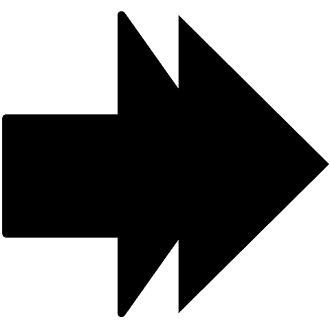 black double arrow symbol on transparent background - Download Free Stock Videos Pikwizard.com