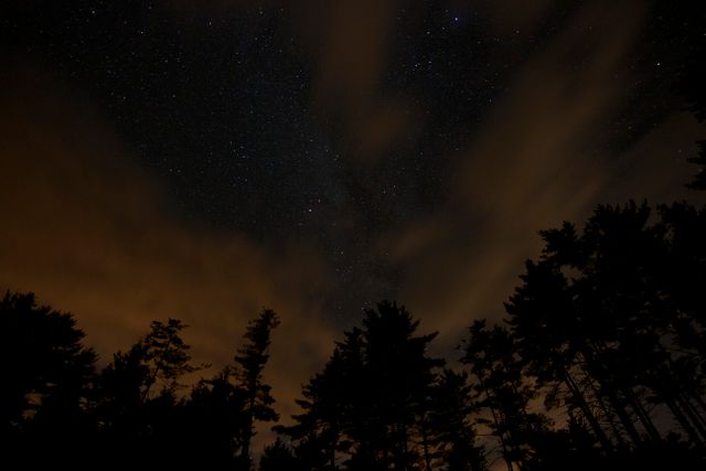 Night sky filled with stars, visible through breaks in cloud cover with silhouetted forest in foreground. Suitable for themes like nature, tranquility, night photography, astronomy, and mystery. Ideal for websites, blogs, posters, or backgrounds related to outdoors and stargazing.