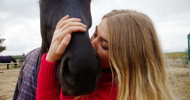 Blonde girl showing affection with a kiss to a black horse outdoors. Perfect for use in equestrian-themed promotions, animal bonding, rural lifestyle advertisements, or articles focusing on human-animal relationships.