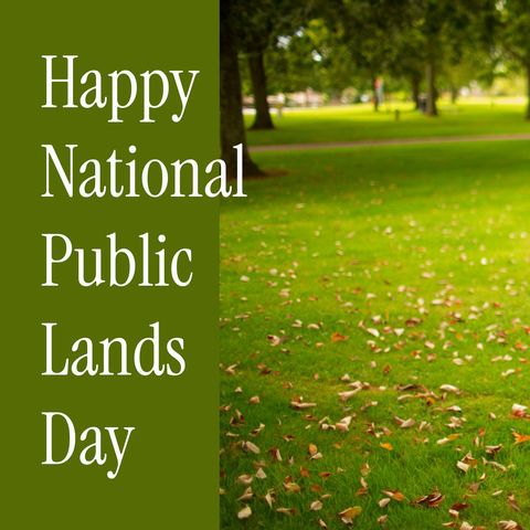 Happy National Public Lands Day with Lush Green Park Landscape - Download Free Stock Templates Pikwizard.com