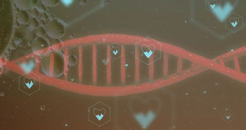 Futuristic visualization combining genetic strands with digital health indicators. Represents interdisciplinary research integrating biotechnology and digital data. Suitable for use in scientific publications, health tech companies, presentations on genetic advancements, and educational materials discussing the intersection of life sciences and technology.