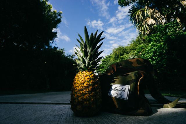 Pineapple fruit nature backpack - Download Free Stock Photos Pikwizard.com