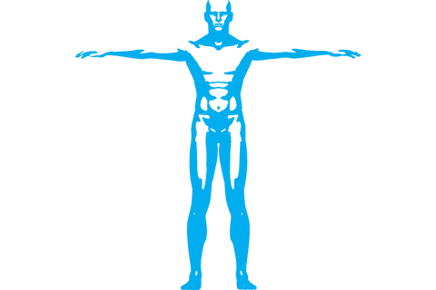 Transparent illustration of blue silhouette stretching arms