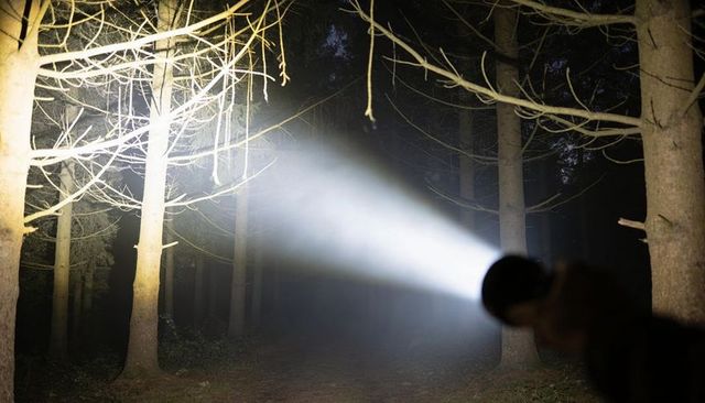 Handheld flashlight beam cutting through misty pine forest at night, searching trail