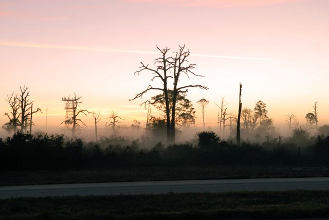 Fog envelops the woods near a road at the Merritt Island National Wildlife Refuge at sunrise, creating a serene natural scene. This image highlights the diverse landscape, providing a sense of tranquility and showcasing environmental beauty. Suitable for use in articles, travel blogs, environmental conservation stories, websites about wildlife, and educational materials on habitats.