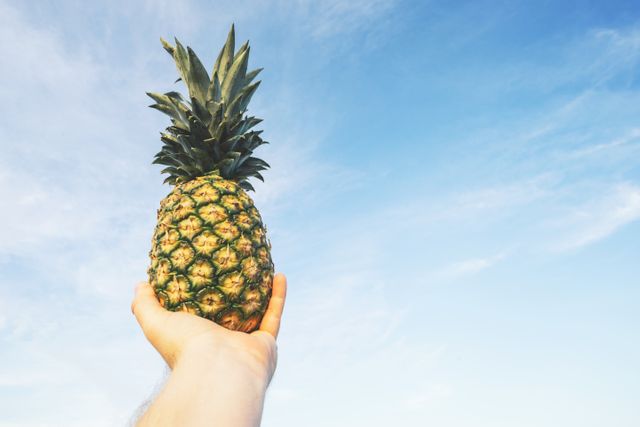 Hand holding pineapple against clear blue sky on sunny day is evoking fresh, tropical vibe. Perfect for promotions related to tropical vacations, summer recipes, healthy eating, or fresh produce advertisements.