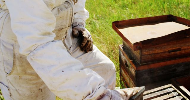 Beekeeper Inspecting Hive in Protective Suit - Download Free Stock Images Pikwizard.com