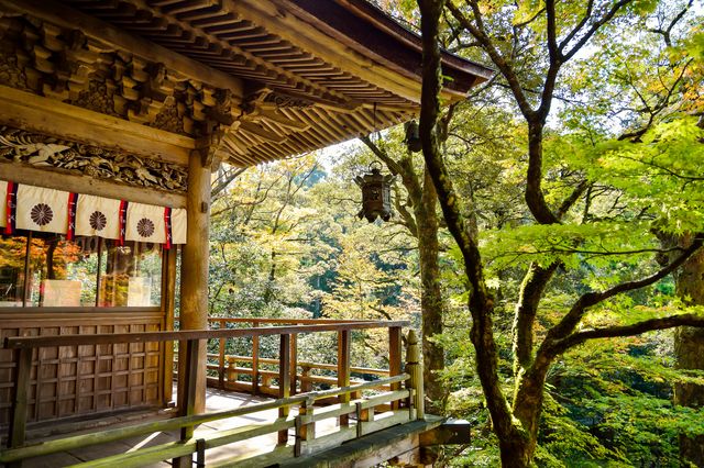 Traditional Japanese temple's balcony overlooks lush green forest in serene nature setting. Perfect for topics on cultural heritage, traditional architecture, travel, meditation, or Japanese history.