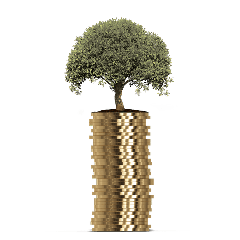 tree growing on stack of golden coins, transparent finance illustration - Download Free Stock Videos Pikwizard.com