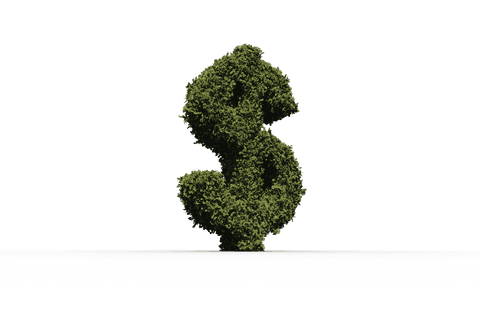 Dollar Symbol Shaped from Grass on Transparent Background - Download Free Stock Videos Pikwizard.com