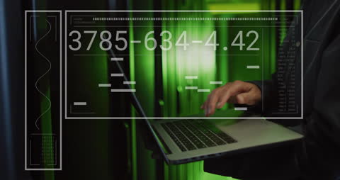 IT Engineer Analyzing Data on Laptop