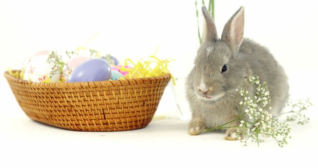 A young bunny sits beside a wicker basket filled with colorful Easter eggs, with copy space. Delicate white flowers add a touch of spring to the festive Easter setting.