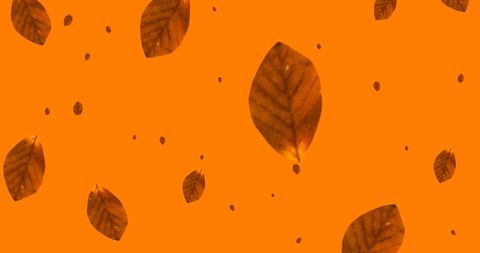 Autumn Leaves Cascading on Vibrant Orange Background