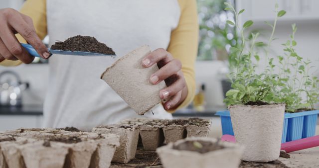 A woman is transplanting seedlings into peat pots, placing soil carefully with a small spade. This image can be used for articles or promotions about indoor gardening, sustainable practices, or home horticulture projects. It emphasizes gardening hands-on techniques and sustainable living.