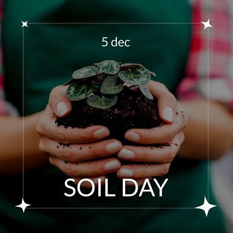 Hands Holding Young Seedling Promoting Soil Day and Sustainability - Download Free Stock Templates Pikwizard.com