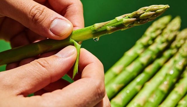 Hands peeling fresh asparagus spear with water droplet closeup for cooking preparation