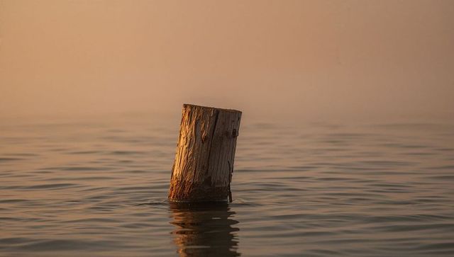 Weathered wooden post standing in calm amber water with reflection at misty sunrise