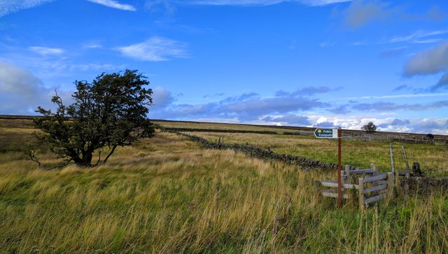 Rural field scene featuring a pathway signpost and lone tree to one side, showing open space under a blue, slightly cloudy sky. Great for articles and advertisements related to nature, hiking, rural life, and outdoor leisure activities.