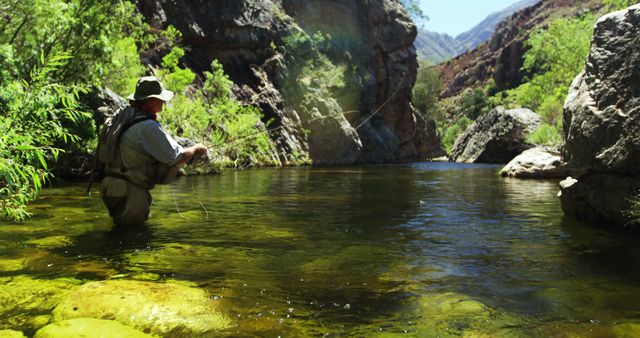 Man Fly Fishing in Remote Mountain Stream Surrounded by Nature - Download Free Stock Images Pikwizard.com