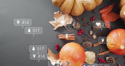 Autumn social media flatlay featuring mini pumpkins, pinecones, cinnamon and notifications