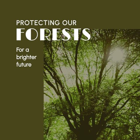 Protecting Our Forests for a Sustainable Future Banner - Download Free Stock Templates Pikwizard.com
