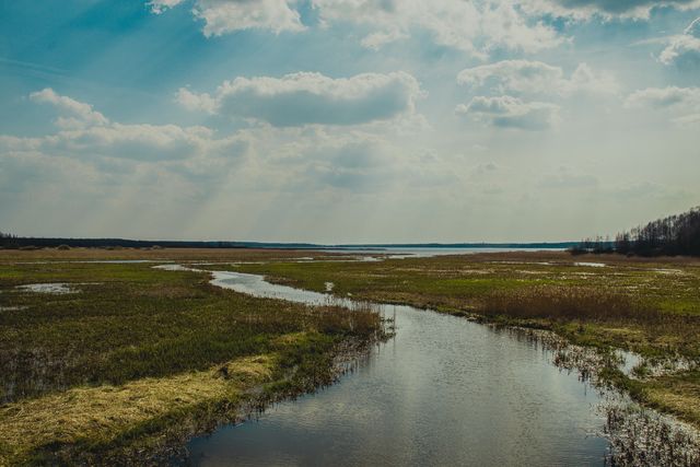 Expansive marshland featuring a winding waterway amidst green vegetation under a cloudy sky. Perfect for use in outdoor activity promotions, environmental awareness campaigns, nature conservation projects, or travel websites showcasing natural landscapes.