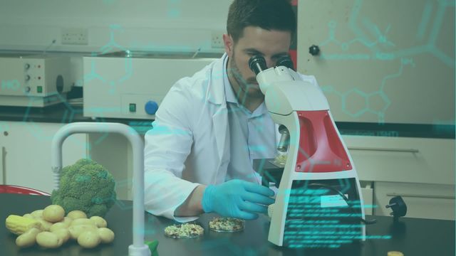 A male scientist in a laboratory peers through a microscope, surrounded by fresh produce samples such as broccoli and potatoes. The overlay of animated data holistically complements the advanced research scene. This can be used in contexts related to innovative research in the fields of microbiology, agriculture, and biomedical technology.