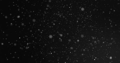 Floating Snowflakes and Light Particles on Black Background - Download Free Stock Images Pikwizard.com