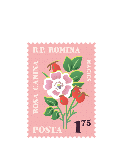 Transparent Postage Stamp Illustration with Floral Design - Download Free Stock Videos Pikwizard.com