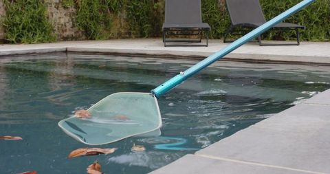 Using pool leaf skimmer to remove leaves from swimming pool water